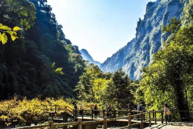 Чунцин: Долина Чёрного ручья (Heishan Valley) - 1 день на лоне природы
